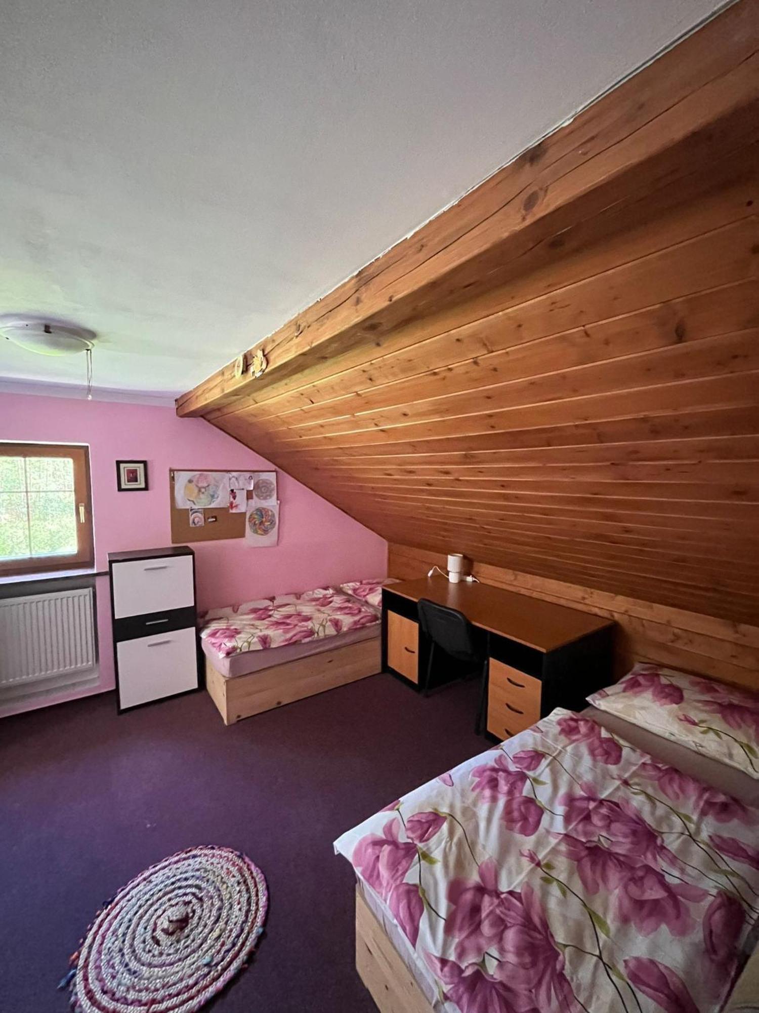 Apartmany Chřibská Kültér fotó